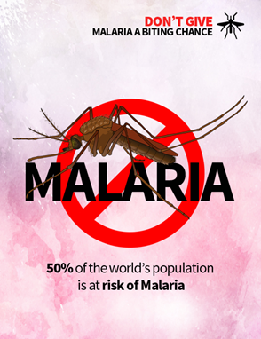 Malaria Awareness facebook Poster